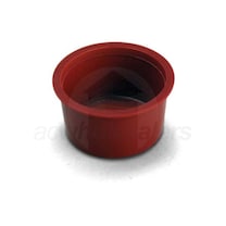 Watts Radiant R-flex Pex Plug, 1